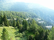 54 Am Malojapass_01-08-2009